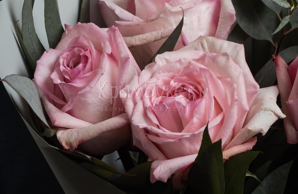 Букет комплимент из пионовидных роз «Pink O'Hara»  (5 шт.)