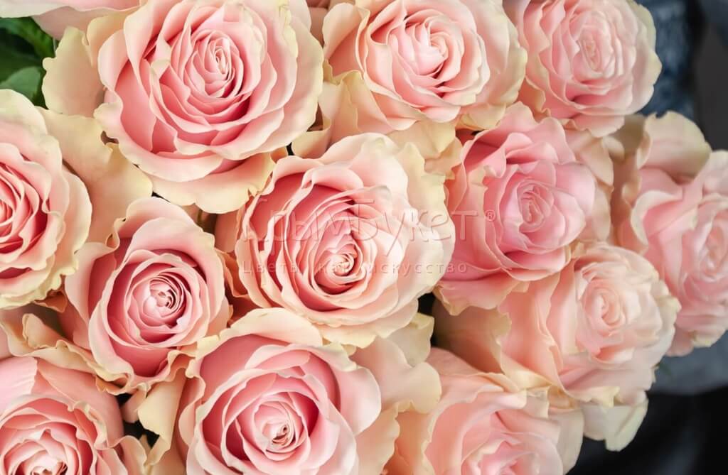 Букет из импортных нежно-розовых роз «Pink Mondial» (15 шт.)
