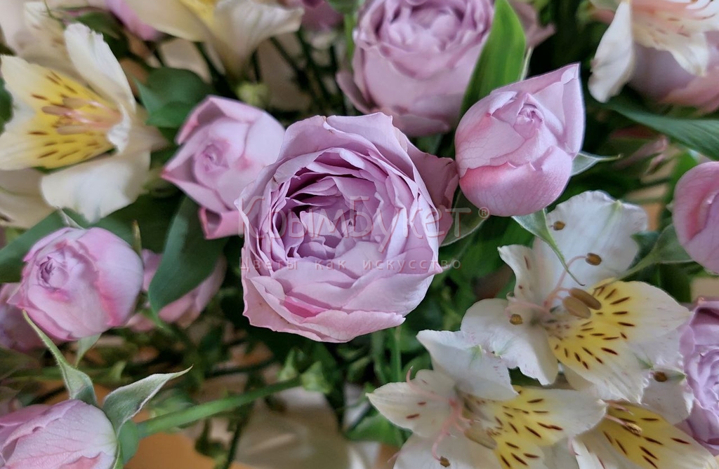 Букет из роз Лавандер Баблс и альстромерий
