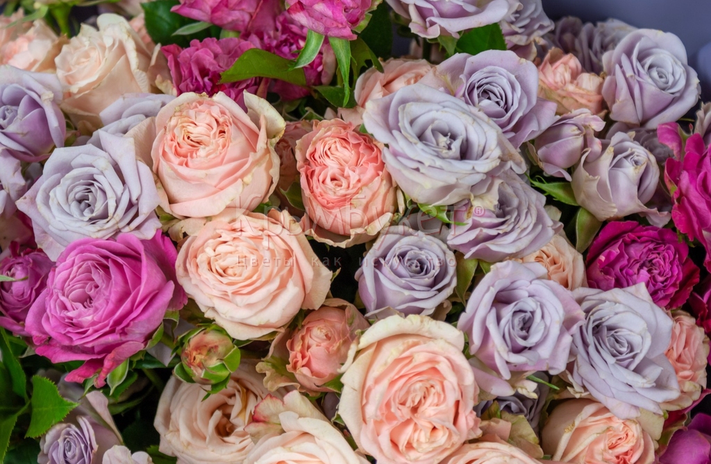 Букет из розовых кустовых роз (15 шт.)