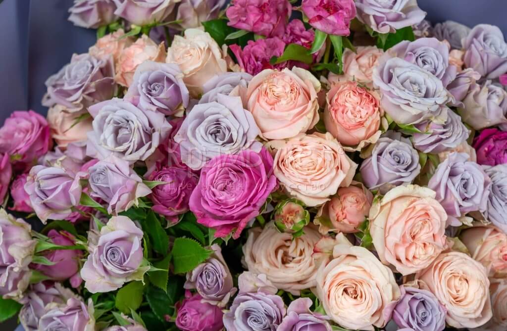 Букет из розовых кустовых роз (15 шт.)