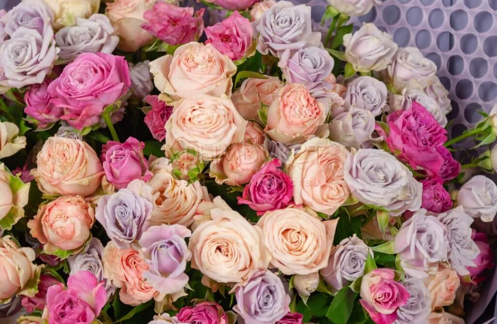 Букет из розовых кустовых роз (25 шт.)