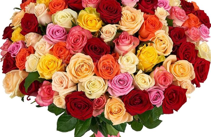 Букет из разноцветных роз «Очарование» (51 шт.)