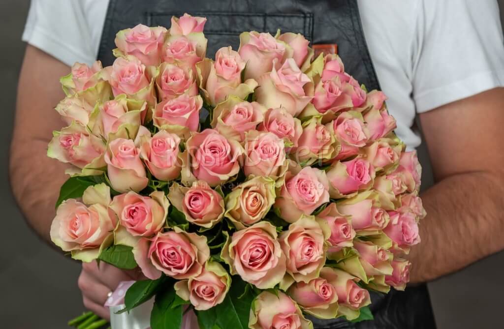 Букет из розовых роз Кения (51 шт.)