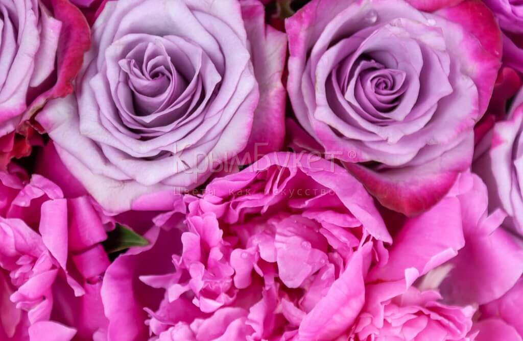 Букет из пионов и роз «Розовый фламинго»