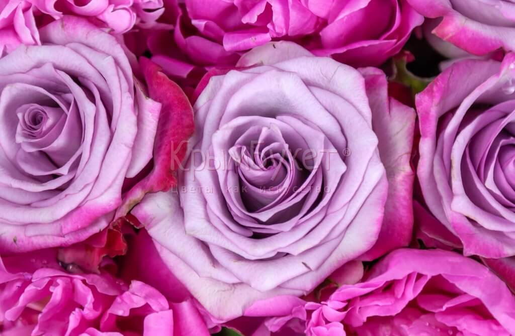 Букет из пионов и роз «Розовый фламинго»