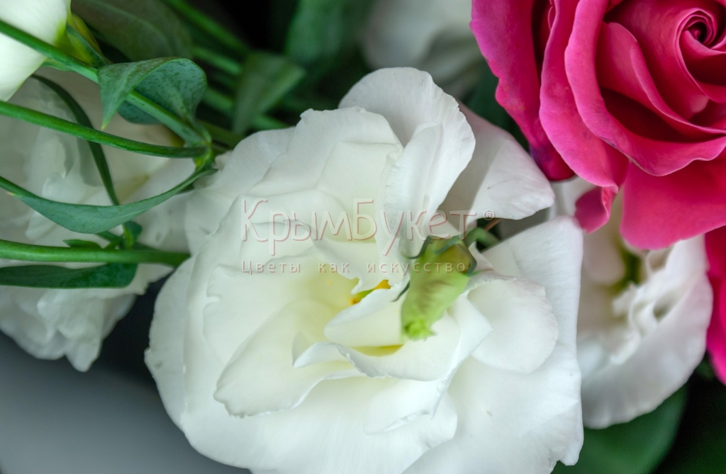 Букет из лизиантусов и роз «Любовь по-французски»