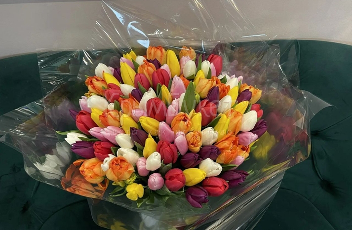 Букет из разноцветных тюльпанов (99 шт.)
