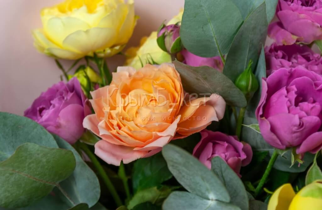 Букет из разноцветных пионовидных роз  (15 шт.)