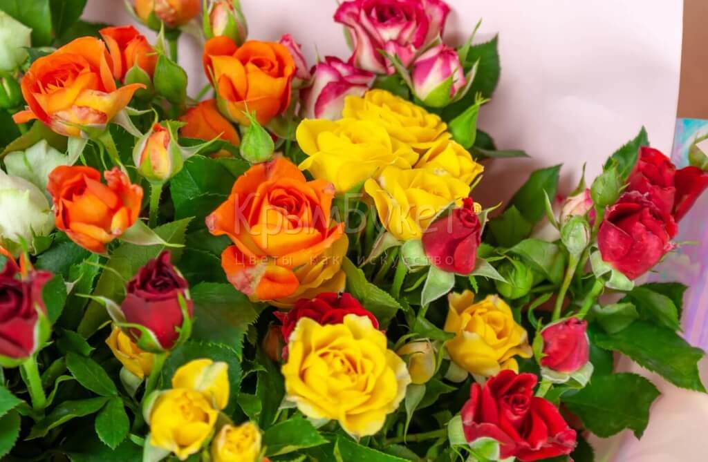 Букет из разноцветных кустовых роз (15 шт.)